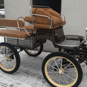 PASSION WAGONNETTE 6 PLACES