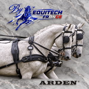 HARNAIS SYNTHETIQUE BIOTHANE ARDEN PAIRE