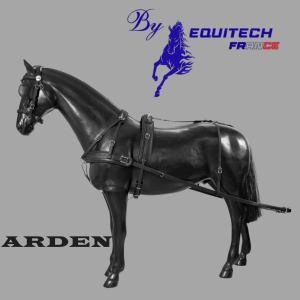 HARNAIS ARDEN TRAINING