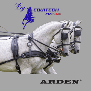 HARNAIS SYNTHETIQUE BIOTHANE ARDEN PAIRE